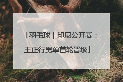 羽毛球｜印尼公开赛：王正行男单首轮晋级