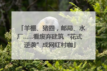 羊棚、猪圈，邮局、水厂……看废弃建筑“花式逆袭”成网红村咖