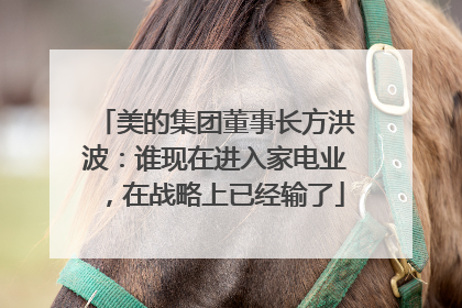 美的集团董事长方洪波：谁现在进入家电业，在战略上已经输了