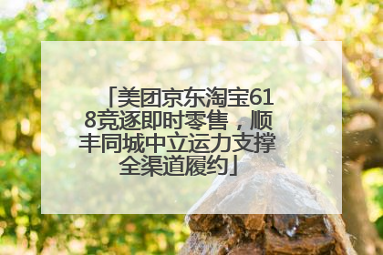 美团京东淘宝618竞逐即时零售，顺丰同城中立运力支撑全渠道履约