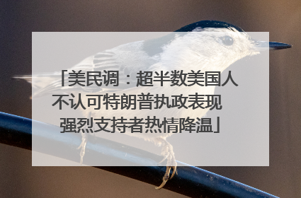 美民调：超半数美国人不认可特朗普执政表现 强烈支持者热情降温