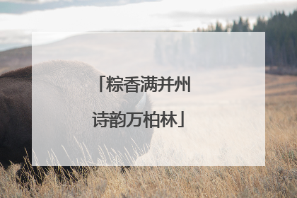 粽香满并州 诗韵万柏林