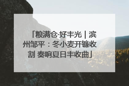 粮满仓·好丰光｜滨州邹平：冬小麦开镰收割 奏响夏日丰收曲