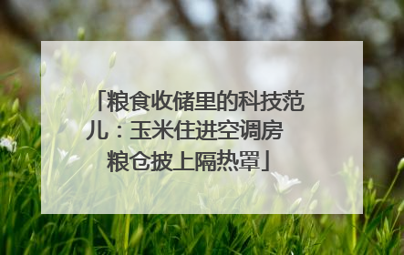 粮食收储里的科技范儿：玉米住进空调房 粮仓披上隔热罩