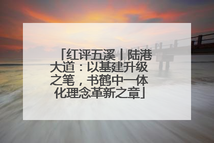 红评五溪丨陆港大道：以基建升级之笔，书鹤中一体化理念革新之章