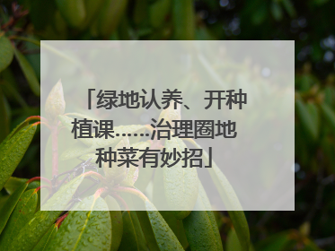 绿地认养、开种植课……治理圈地种菜有妙招