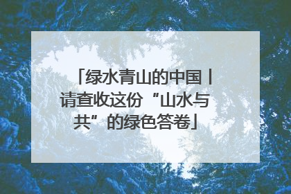 绿水青山的中国丨请查收这份“山水与共”的绿色答卷