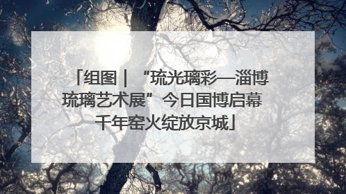 组图｜“琉光璃彩—淄博琉璃艺术展”今日国博启幕 千年窑火绽放京城
