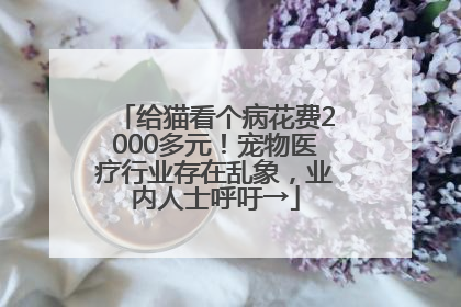 给猫看个病花费2000多元！宠物医疗行业存在乱象，业内人士呼吁→