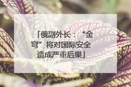 俄副外长：“金穹”将对国际安全造成严重后果