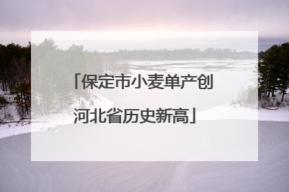 保定市小麦单产创河北省历史新高