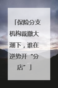 保险分支机构裁撤大潮下，谁在逆势开“分店”