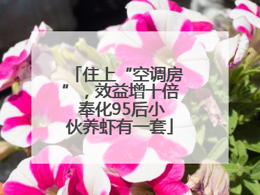 住上“空调房”，效益增十倍 奉化95后小伙养虾有一套