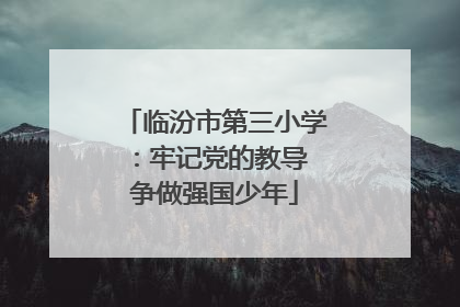 临汾市第三小学：牢记党的教导 争做强国少年