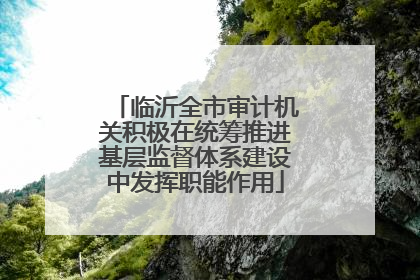 临沂全市审计机关积极在统筹推进基层监督体系建设中发挥职能作用