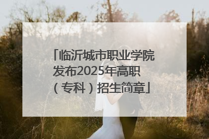 临沂城市职业学院发布2025年高职（专科）招生简章