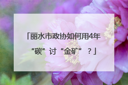 丽水市政协如何用4年“碳”讨“金矿”？