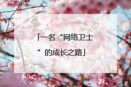 一名“网络卫士”的成长之路