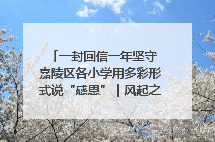 一封回信一年坚守 嘉陵区各小学用多彩形式说“感恩”｜风起之江 扶摇直上