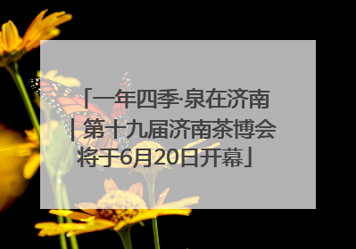 一年四季·泉在济南｜第十九届济南茶博会将于6月20日开幕