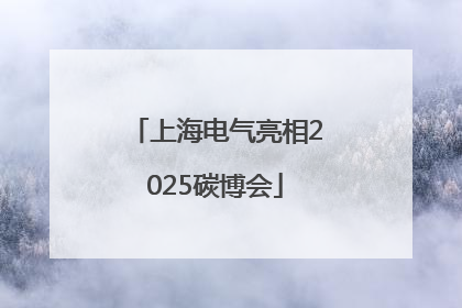 上海电气亮相2025碳博会