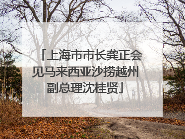 上海市市长龚正会见马来西亚沙捞越州副总理沈桂贤