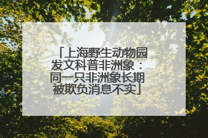 上海野生动物园发文科普非洲象：同一只非洲象长期被欺负消息不实