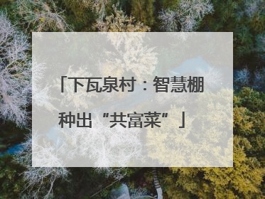 下瓦泉村：智慧棚种出“共富菜”