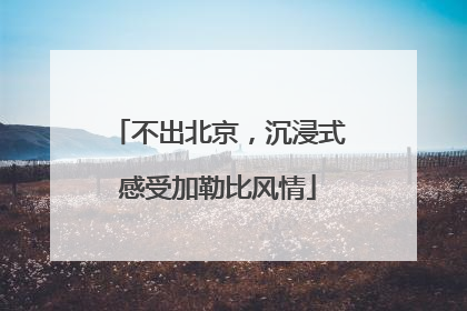 不出北京，沉浸式感受加勒比风情