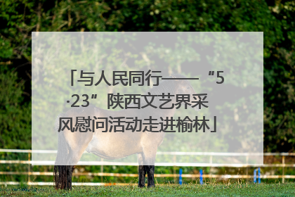 与人民同行——“5·23”陕西文艺界采风慰问活动走进榆林