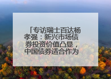 专访瑞士百达杨孝强：新兴市场债券投资价值凸显，中国债券适合作为“稳定器”