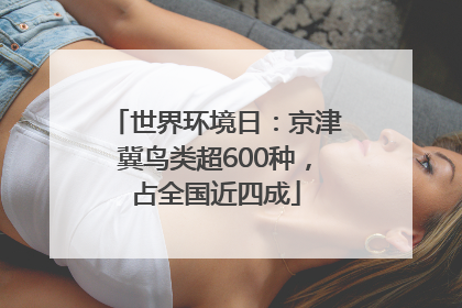 世界环境日：京津冀鸟类超600种，占全国近四成