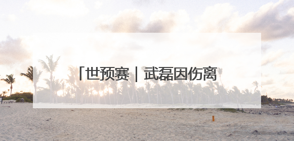 世预赛｜武磊因伤离开国足集训队，伊万不再补招顶替球员
