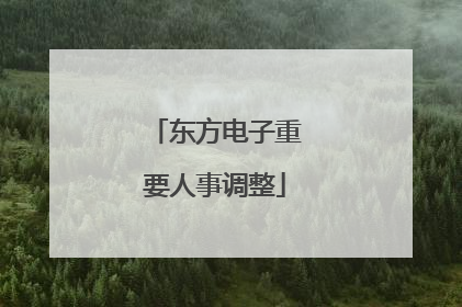 东方电子重要人事调整