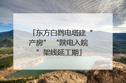 东方白鹳电塔建“产房” “陕电入皖”架线延工期