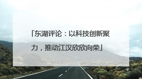 东湖评论：以科技创新聚力，推动江汉欣欣向荣