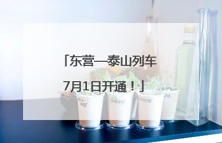 东营—泰山列车7月1日开通！