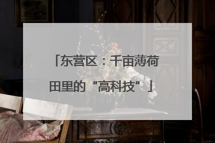 东营区：千亩薄荷田里的“高科技”