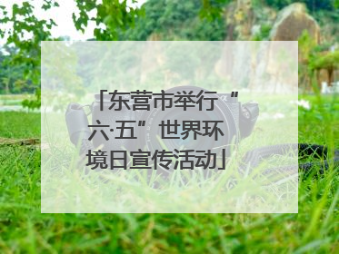 东营市举行“六·五”世界环境日宣传活动