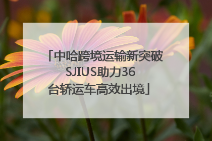 中哈跨境运输新突破 SJIUS助力36台轿运车高效出境