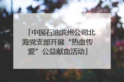 中国石油滨州公司北海党支部开展“热血传爱”公益献血活动