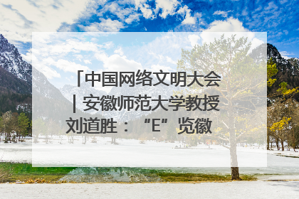 中国网络文明大会｜安徽师范大学教授刘道胜：“E”览徽风，构筑中华民族共有精神家园