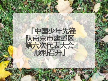 中国少年先锋队南京市建邺区第六次代表大会顺利召开