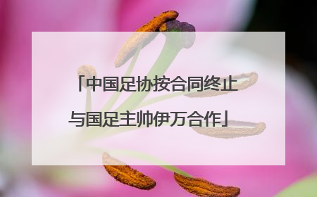 中国足协按合同终止与国足主帅伊万合作