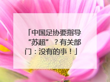 中国足协要指导“苏超”？有关部门：没有的事！