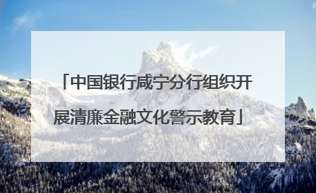 中国银行咸宁分行组织开展清廉金融文化警示教育