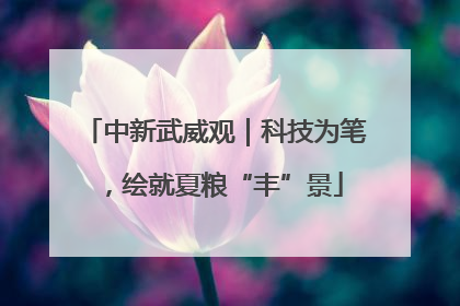 中新武威观｜科技为笔，绘就夏粮“丰”景