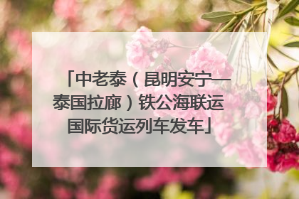 中老泰（昆明安宁—泰国拉廊）铁公海联运国际货运列车发车