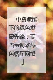 中资赋能下的绿色发展先锋，麦当劳铸就绿色餐厅网络