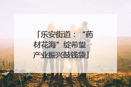 乐安街道：“药材花海”绽希望 产业振兴鼓钱袋